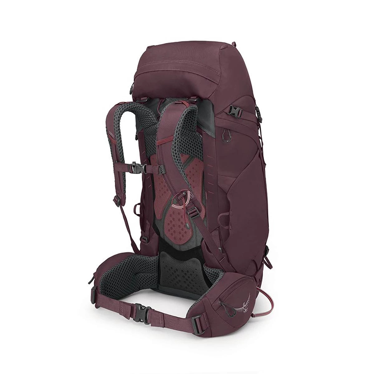 Osprey Σακίδιο Πλάτης Kyte 48 Elderberry Purple (10004785)
