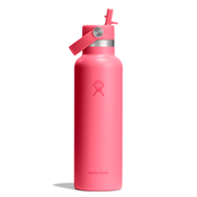 Hydro Flask Μπουκάλι Standard Mouth Flex Straw Cap 621 ml – Popstar Pink (S21CFS668)