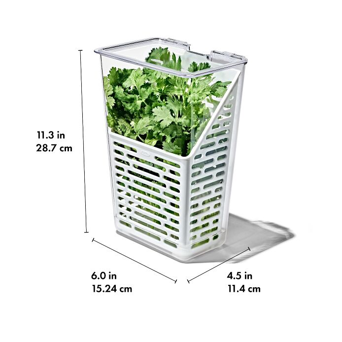 OXO Δοχείο Συντήρησης Μυρωδικών Herb Keeper (11387800)